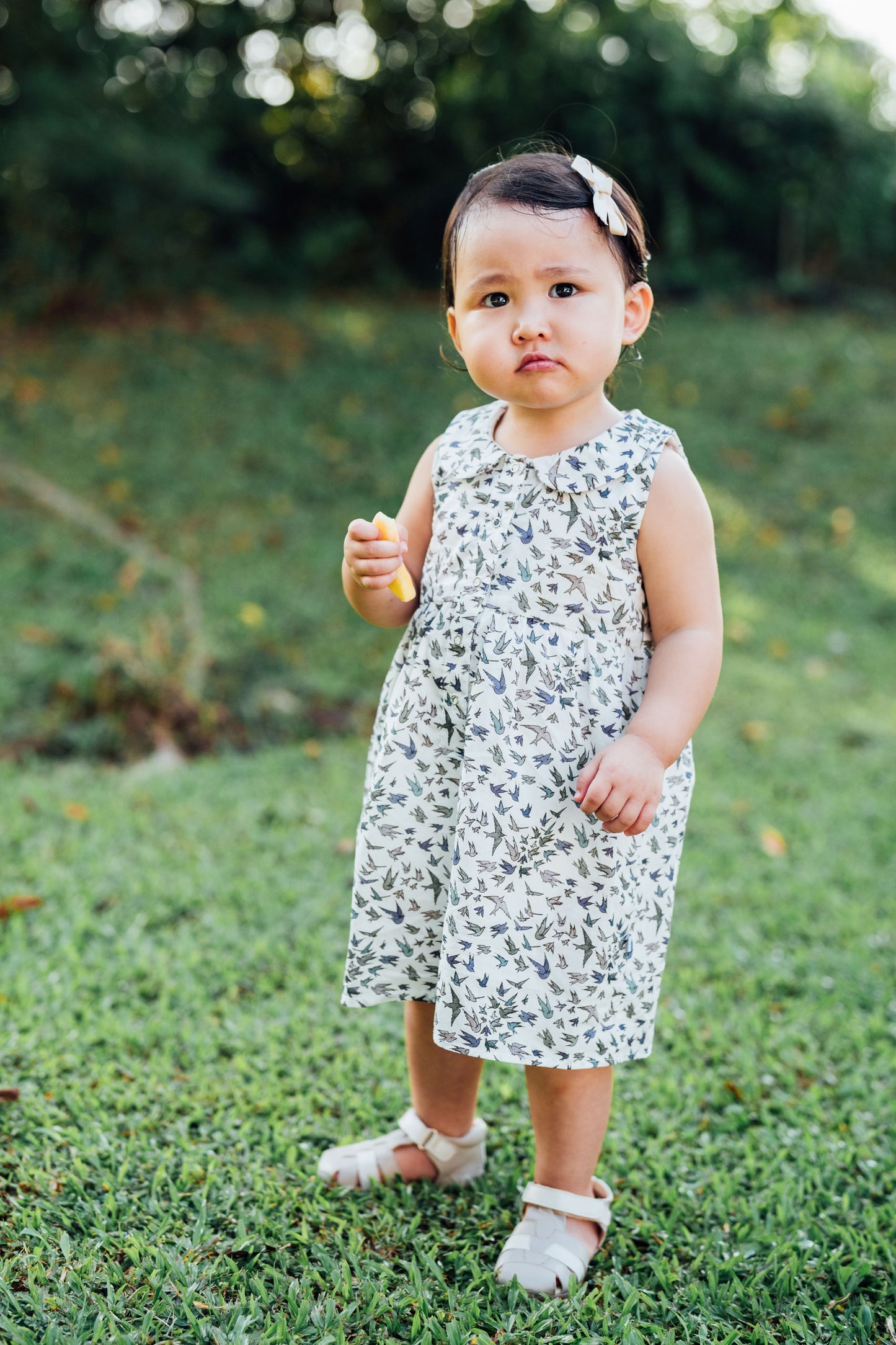 Birdy Baby Onesie Dress
