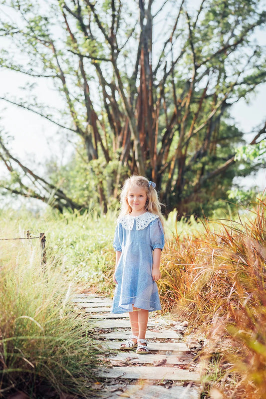 Blue Gingham Embroidered Collar Linen Dress for Girl