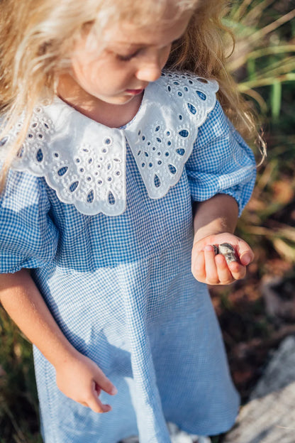 Blue Gingham Embroidered Collar Linen Dress for Girl