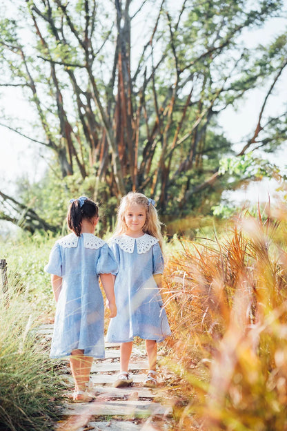 Blue Gingham Embroidered Collar Linen Dress for Girl