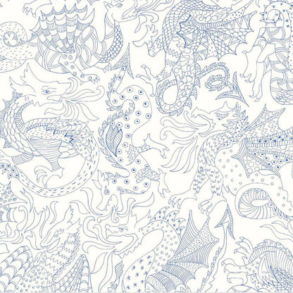 Delaney Dragon Shirt for boys