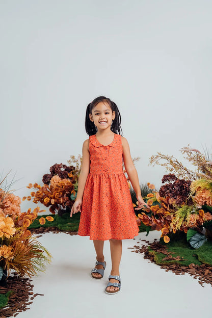 Dolly Dress for Girls